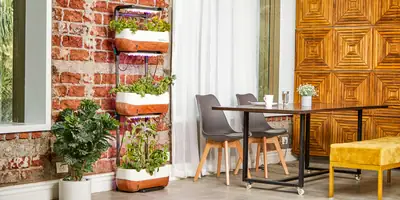 Indoor Vertical Farm