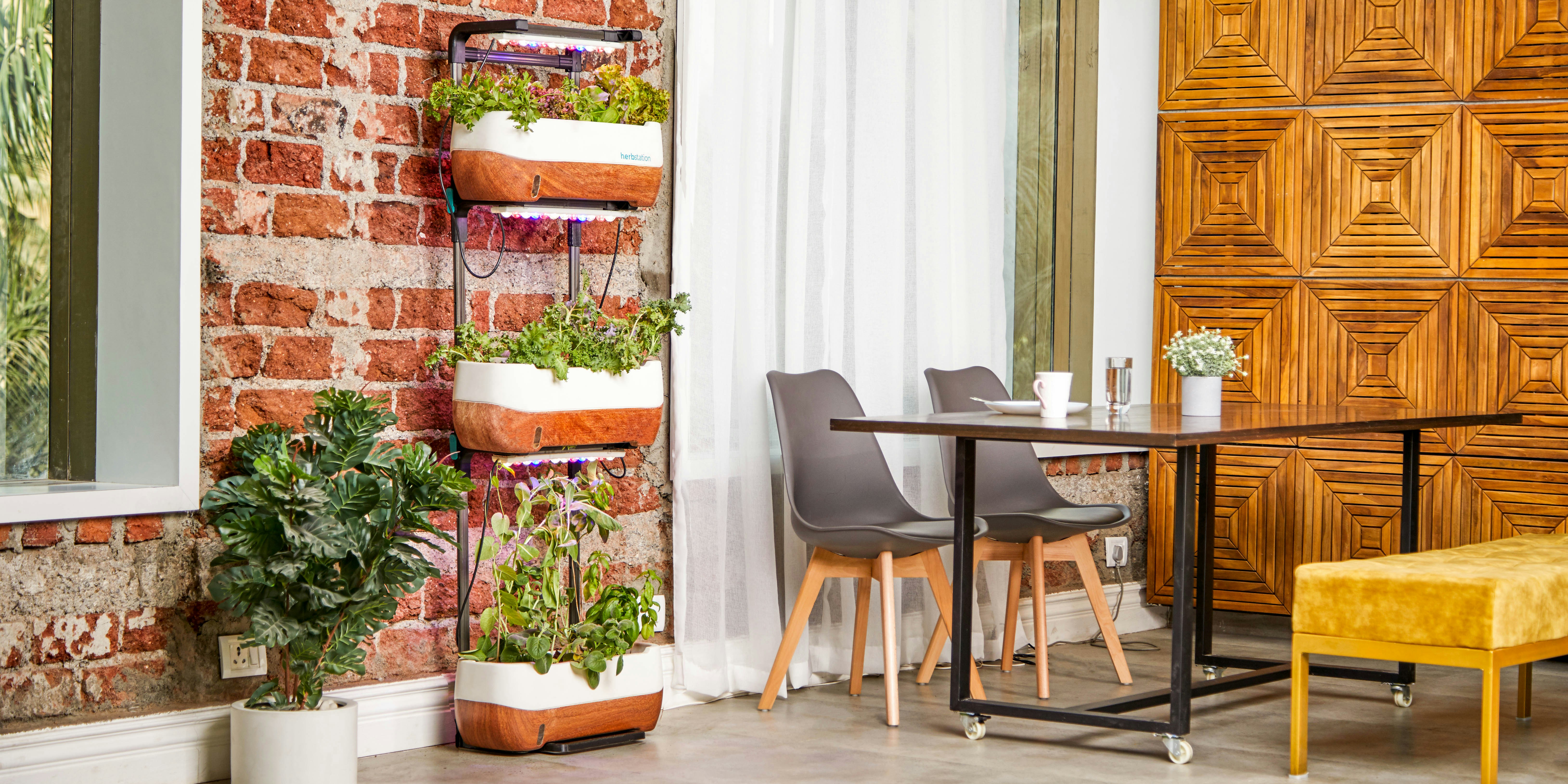 Indoor Vertical Farm