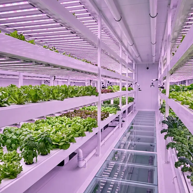 Hydroponics category